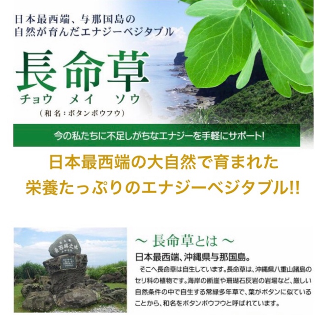 長命草 フコイダン クロレラ入り   サプリメント 約3ヵ月分 健康食品 食品/飲料/酒の食品(野菜)の商品写真