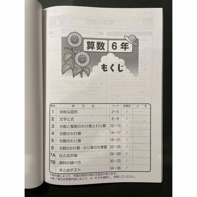 【塾用教材】カミングサマー　小学6年　国語　算数 エンタメ/ホビーの本(語学/参考書)の商品写真