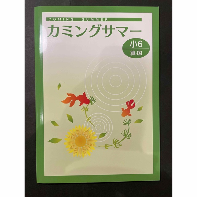 【塾用教材】カミングサマー　小学6年　国語　算数 エンタメ/ホビーの本(語学/参考書)の商品写真