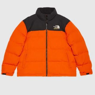 ザノースフェイス(THE NORTH FACE)のTHE NORTH FACE GUCCI ダウンジャケットノースフェイス　グッチ(ダウンジャケット)