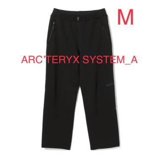 アークテリクス(ARC'TERYX)のARC’TERYX SYSTEM_A  LESTON スウェットパンツ(その他)