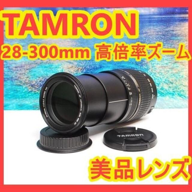 ✨近くから遠くまでこれ1本で撮影✨Tamron 28-300mm Canon用 大切な人