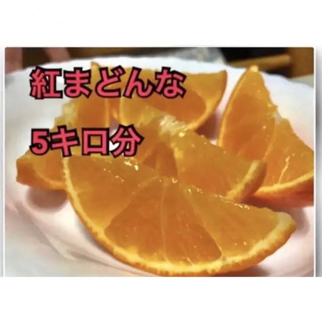 愛媛県産 紅まどんな 家庭用 5キロ 食品/飲料/酒の食品(フルーツ)の商品写真