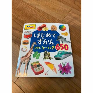 はじめてずかん650(絵本/児童書)