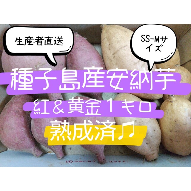 種子島産安納芋紅＆黄金SS-Mサイズ 食品/飲料/酒の食品(野菜)の商品写真