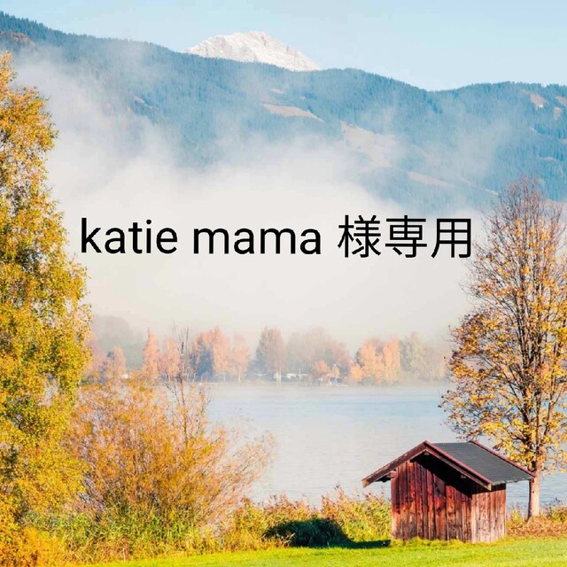 MISSHA(ミシャ)のkatie mama 様専用 コスメ/美容のベースメイク/化粧品(マスカラ)の商品写真