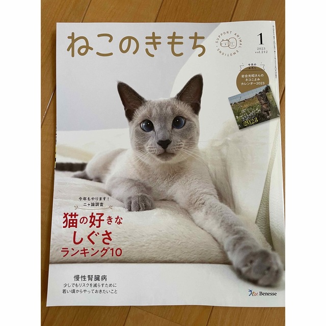 Benesse(ベネッセ)のねこのきもち　2023 1月号、2月号　小冊子セット エンタメ/ホビーの雑誌(専門誌)の商品写真