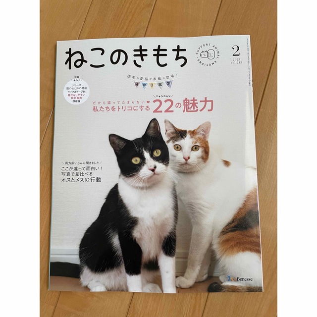 Benesse(ベネッセ)のねこのきもち　2023 1月号、2月号　小冊子セット エンタメ/ホビーの雑誌(専門誌)の商品写真