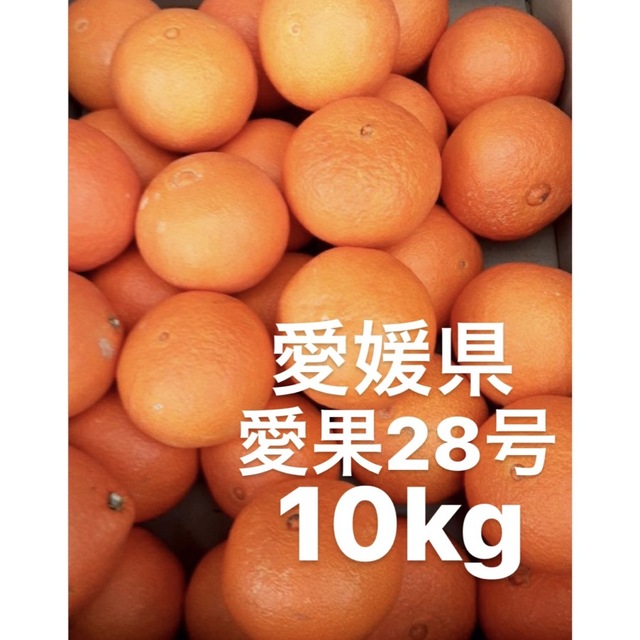 皮も薄皮でお味濃く甘いですので愛媛県産 愛果28号 柑橘 10kg - 果物