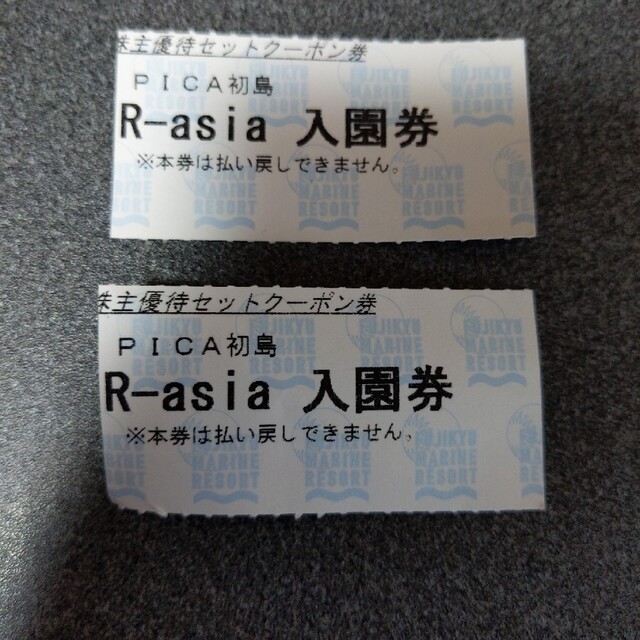 PICA初島　海のプールとR-asia入園券