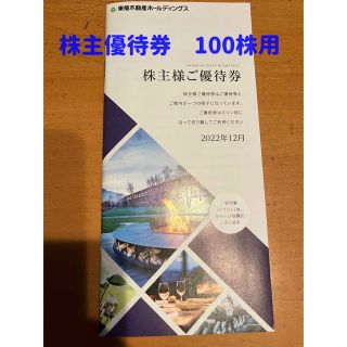 東急不動産ホールディングス　株主優待券100株用(その他)