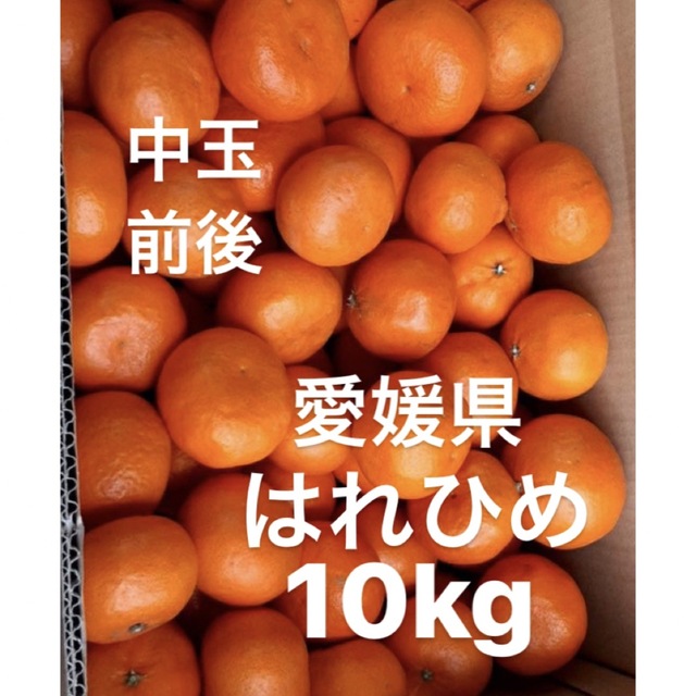 愛媛県産　はれひめ　柑橘　10kg 食品/飲料/酒の食品(フルーツ)の商品写真