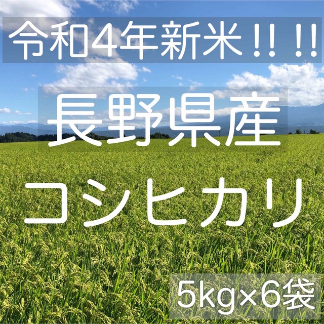 令和4年産】長野県コシヒカリ30キロ白米　米/穀物