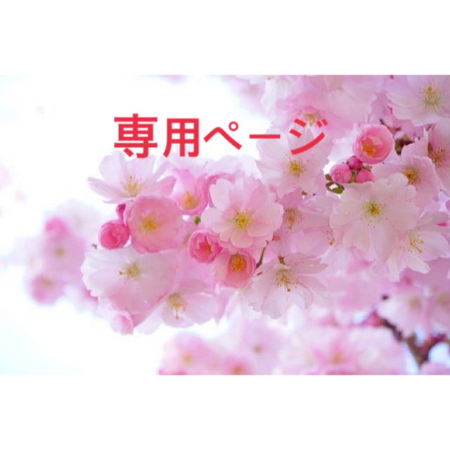 きてぃ様専用ページの通販 by ハッピースマイル1176's shop|ラクマ