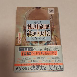 もしも徳川家康が総理大臣になったら ビジネス小説(その他)