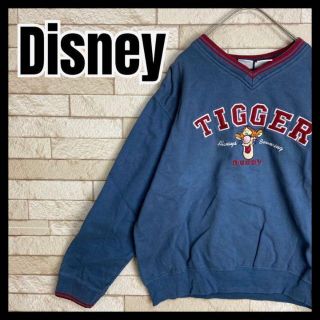 ディズニー(Disney)のDisney ティガー スウェット リブライン ボーダー くすみカラー プーさん(スウェット)