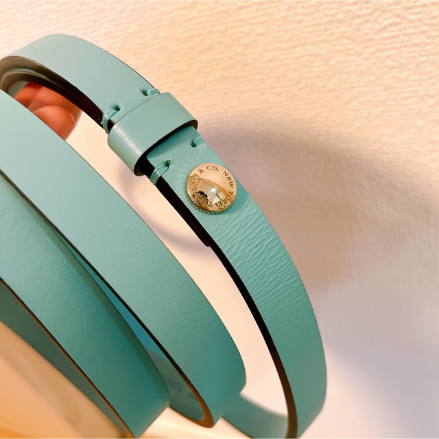 定価55,000】ティファニーペット用リード - 犬