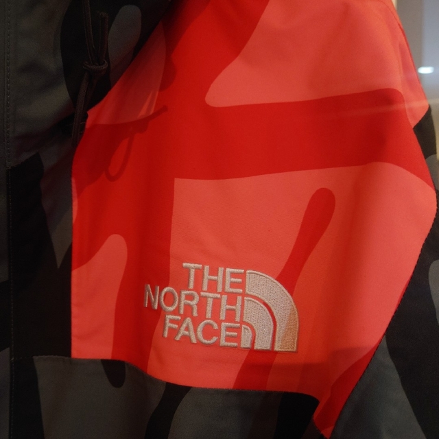 THE NORTH FACE(ザノースフェイス)の新品未使用 kaws north face カウズ ノースフェイス マウンテン メンズのジャケット/アウター(マウンテンパーカー)の商品写真