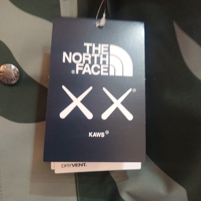 THE NORTH FACE(ザノースフェイス)の新品未使用 kaws north face カウズ ノースフェイス マウンテン メンズのジャケット/アウター(マウンテンパーカー)の商品写真