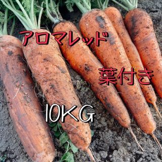 高糖度 アロマレッド フルーツ人参 サイズ不選別 農家直送 10kg 葉付き(野菜)