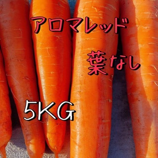 高糖度 アロマレッド フルーツ人参 サイズ不選別 農家直送 5kg 葉付き(野菜)