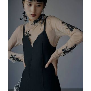 アメリヴィンテージ(Ameri VINTAGE)のAMERI UND FUR EMBROIDERY SKIN TOP(カットソー(長袖/七分))