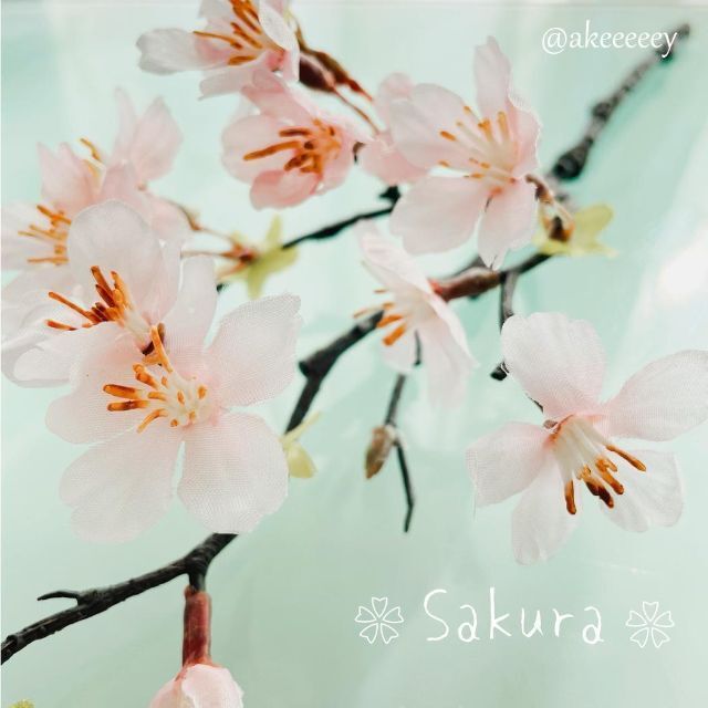 【人気✨再販】アーティフィシャルフラワー ピック ♡ 淡雪の桜 1本 さくら ⑧ ハンドメイドのフラワー/ガーデン(プランター)の商品写真