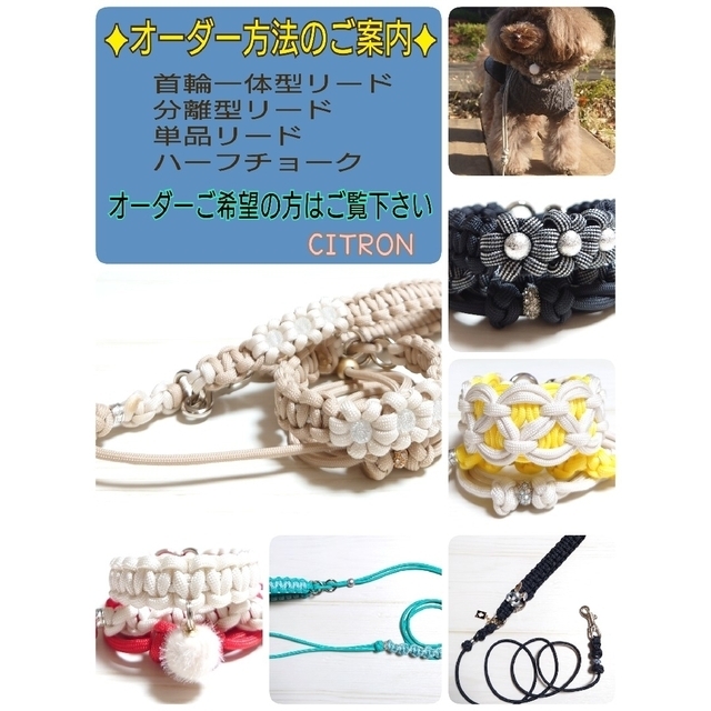 注目の福袋をピックアップ! 首輪一体型❀パラコードリード ♥オーダー