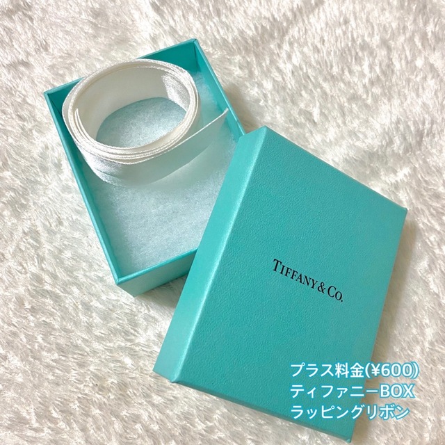 新品未使用【TIFFANY&CO.】リターントゥ ティファニー