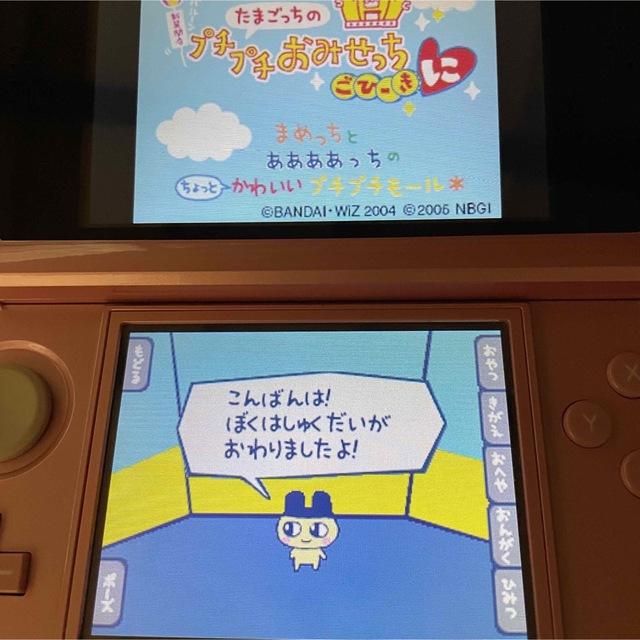大流行中! たまごっちのプチプチおみせっち ごひーきに DSソフト