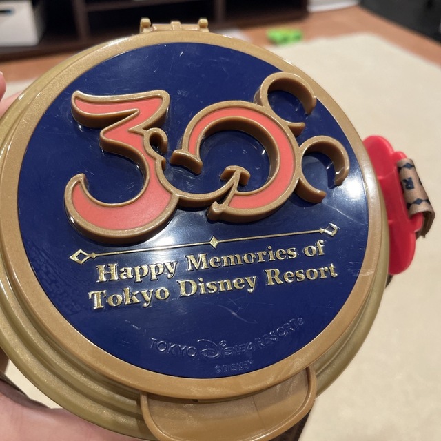 Disney(ディズニー)のディズニーランド　ポップコーンバケット　30周年 エンタメ/ホビーのおもちゃ/ぬいぐるみ(キャラクターグッズ)の商品写真