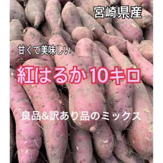 宮崎県産 紅はるか10㎏(野菜)