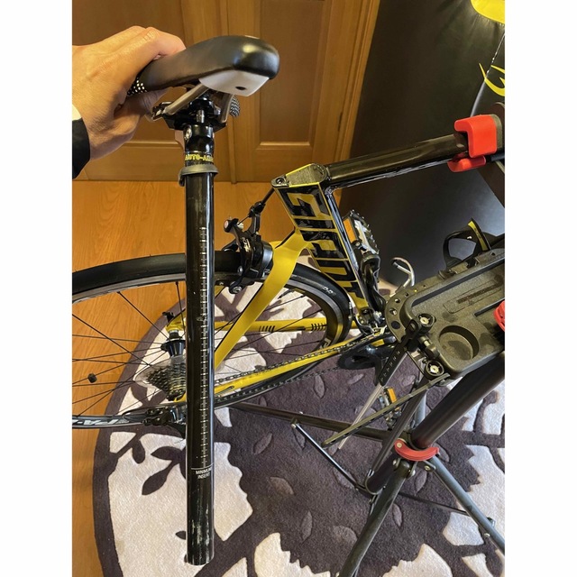Giant(ジャイアント)のgiant propel aluxx SLR スポーツ/アウトドアの自転車(自転車本体)の商品写真