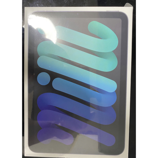iPad mini6 64GB スペースグレイ Wi-Fi 新着 37485円 dinuoma.com.ua