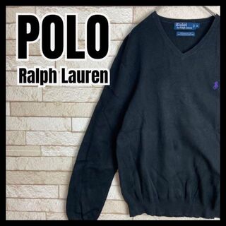 POLO Ralph Lauren ニット セーター Vネック 刺繍 ロゴ(ニット/セーター)