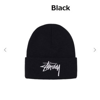 ステューシー(STUSSY)のストゥーシービーニー　stussyビーニー　ストゥーシーニット帽(ニット帽/ビーニー)