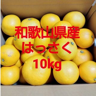 和歌山県産　八朔　はっさく　10kg(フルーツ)