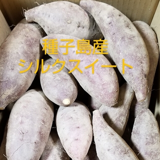 熟成済　種子島産シルクスイート　　　　2S~Lサイズ混合5キロ(野菜)