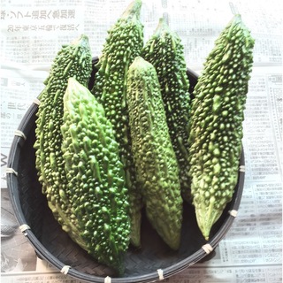 宮古島産ゴーヤー(6本)(野菜)