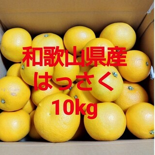 和歌山県産　八朔　はっさく　10kg(フルーツ)