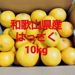 和歌山県産　八朔　はっさく　10kg(フルーツ)