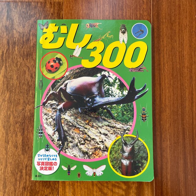 むし３００ エンタメ/ホビーの本(絵本/児童書)の商品写真