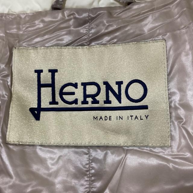 HERNO(ヘルノ)のヘルノ ダウンコート サイズ40 M - 長袖/冬 レディースのジャケット/アウター(ダウンコート)の商品写真