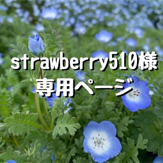 ファミュ(FEMMUE)の◆strawberry510様専用◆(パック/フェイスマスク)