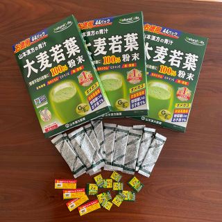 山本漢方　大麦若葉　青汁　プレゼント券付(青汁/ケール加工食品)