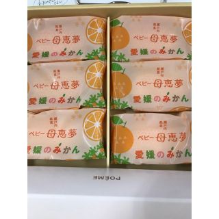 ベビー母恵夢　愛媛のみかん(菓子/デザート)