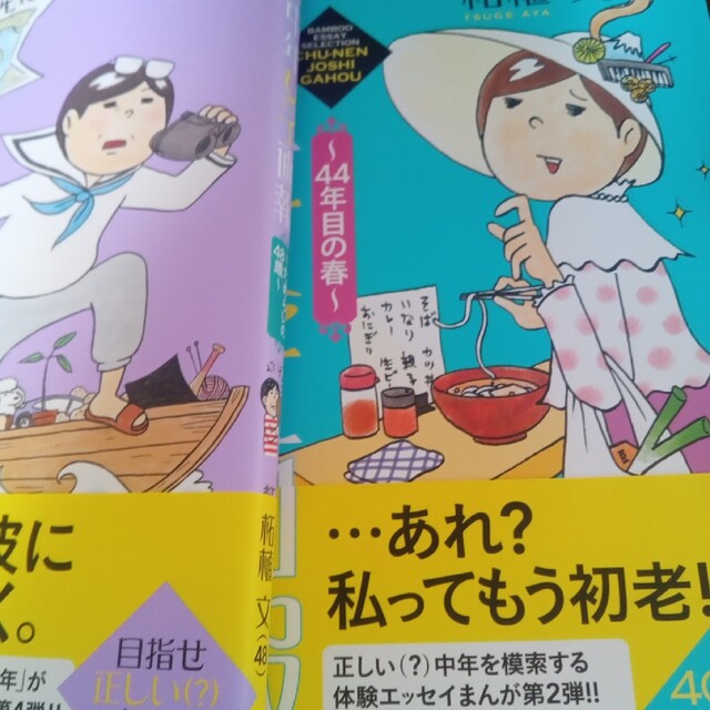 中年女子画報 44年目の春　ためらいの48歳　2冊 エンタメ/ホビーの漫画(その他)の商品写真