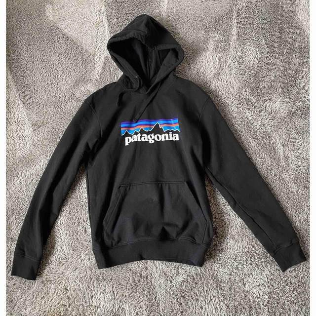 patagonia フーディ