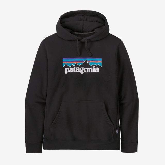 patagonia フーディ