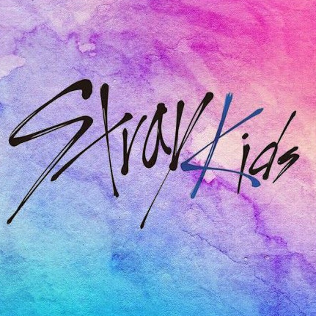 Stray Kids - 翔様⭐️専用 11日までお取り置きの通販 by 5STAR's shop